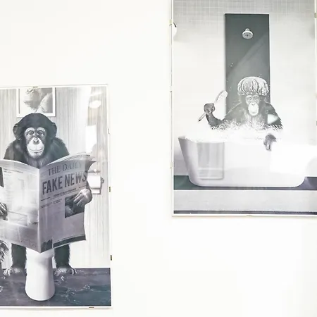 Zazzamita 2 0 Apartmán