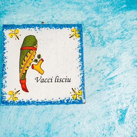 شقة Zazzamita 2 0